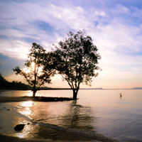 手机被攻击连续收短信