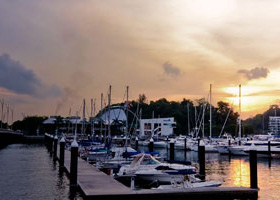 短信在线云呼轰炸