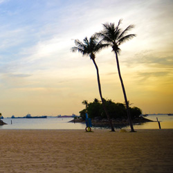 短信在线云呼轰炸