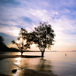 在线手机号轰炸测试